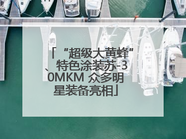 “超级大黄蜂”、特色涂装苏-30MKM 众多明星装备亮相