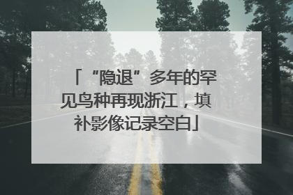 “隐退”多年的罕见鸟种再现浙江，填补影像记录空白