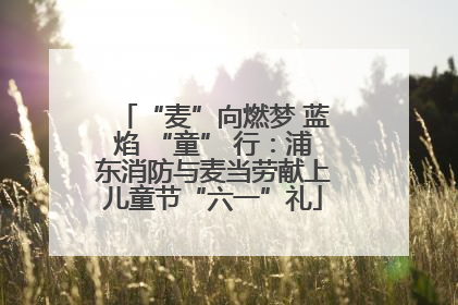 “麦”向燃梦 蓝焰 “童” 行：浦东消防与麦当劳献上儿童节“六一”礼