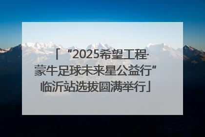 “2025希望工程·蒙牛足球未来星公益行”临沂站选拔圆满举行