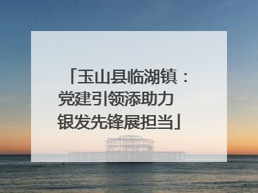 玉山县临湖镇：党建引领添助力 银发先锋展担当