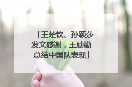 王楚钦、孙颖莎发文感谢，王励勤总结中国队表现