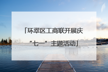 环翠区工商联开展庆“七一”主题活动