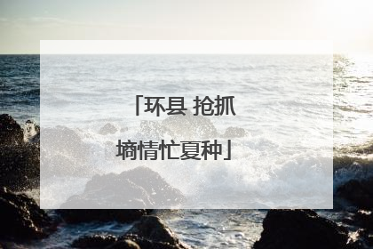 环县 抢抓墒情忙夏种