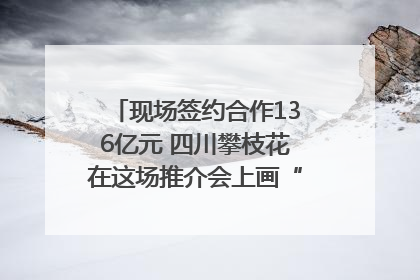 现场签约合作136亿元 四川攀枝花在这场推介会上画“图谱”列“清单”