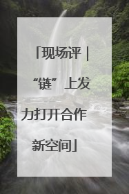 现场评｜“链”上发力打开合作新空间