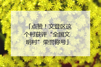 点赞！文登区这个村获评“全国文明村”荣誉称号