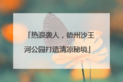 热浪袭人，德州沙王河公园打造清凉秘境