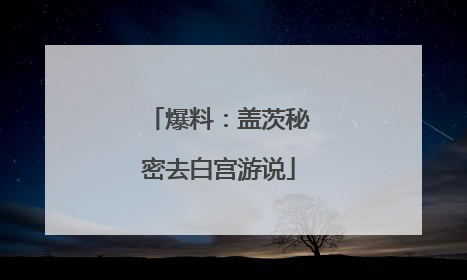 爆料：盖茨秘密去白宫游说
