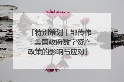 特别策划丨邹传伟：美国政府数字资产政策的影响与应对