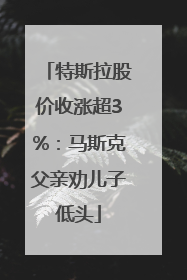 特斯拉股价收涨超3%：马斯克父亲劝儿子低头