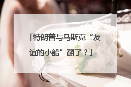特朗普与马斯克“友谊的小船”翻了？