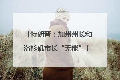 特朗普：加州州长和洛杉矶市长“无能”