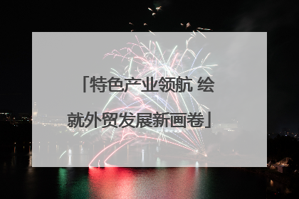 特色产业领航 绘就外贸发展新画卷