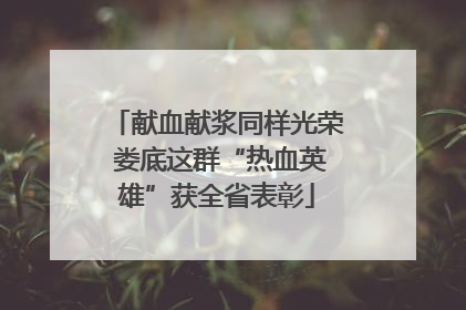 献血献浆同样光荣 娄底这群“热血英雄”获全省表彰