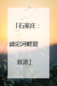 石家庄：滹沱河畔夏意浓