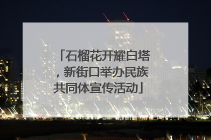 石榴花开耀白塔，新街口举办民族共同体宣传活动