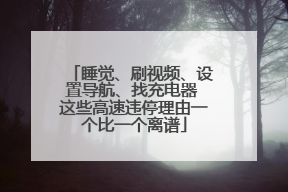 睡觉、刷视频、设置导航、找充电器 这些高速违停理由一个比一个离谱