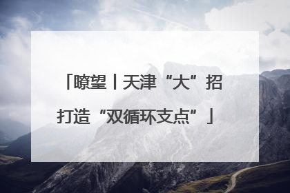 瞭望丨天津“大”招打造“双循环支点”