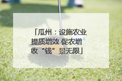 瓜州：设施农业提质增效 促农增收“钱”景无限