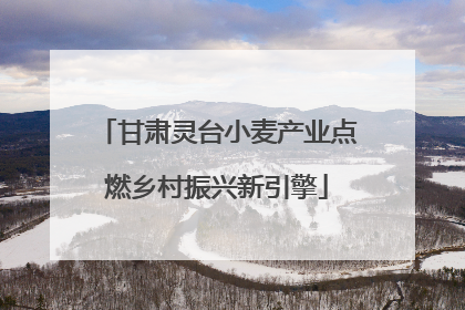 甘肃灵台小麦产业点燃乡村振兴新引擎