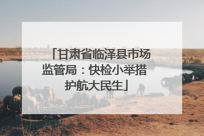 甘肃省临泽县市场监管局：快检小举措 护航大民生