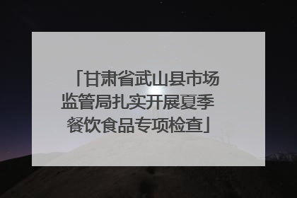 甘肃省武山县市场监管局扎实开展夏季餐饮食品专项检查