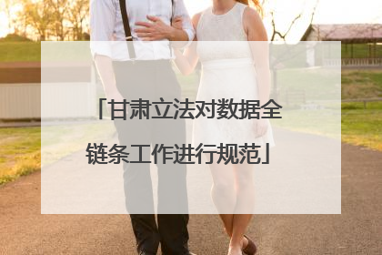 甘肃立法对数据全链条工作进行规范