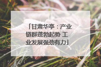 甘肃华亭：产业链群蓬勃起势 工业发展强劲有力