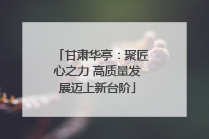甘肃华亭：聚匠心之力 高质量发展迈上新台阶
