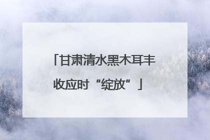 甘肃清水黑木耳丰收应时“绽放”