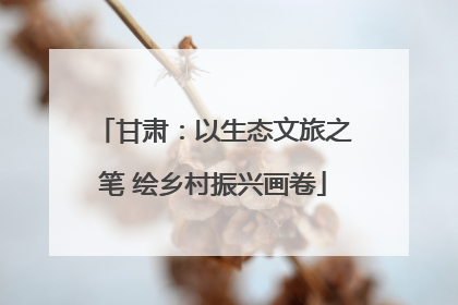 甘肃：以生态文旅之笔 绘乡村振兴画卷