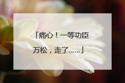 痛心！一等功臣万松，走了……