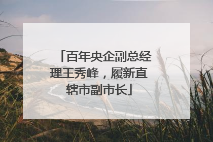 百年央企副总经理王秀峰，履新直辖市副市长