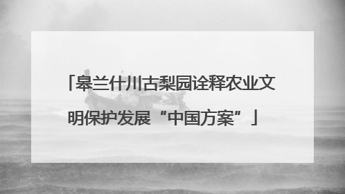 皋兰什川古梨园诠释农业文明保护发展“中国方案”