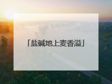 盐碱地上麦香溢