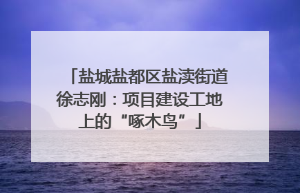 盐城盐都区盐渎街道徐志刚：项目建设工地上的“啄木鸟”