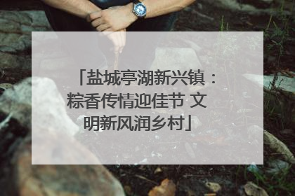 盐城亭湖新兴镇：粽香传情迎佳节 文明新风润乡村