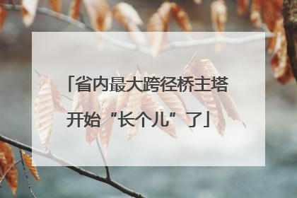 省内最大跨径桥主塔开始“长个儿”了