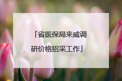 省医保局来威调研价格招采工作