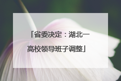 省委决定：湖北一高校领导班子调整