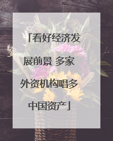 看好经济发展前景 多家外资机构唱多中国资产