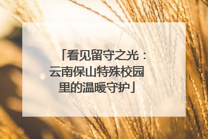 看见留守之光：云南保山特殊校园里的温暖守护
