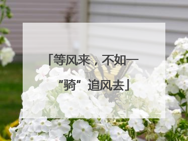 等风来，不如一“骑”追风去