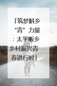 筑梦斛乡“青”力量：太平畈乡乡村振兴青春进行时