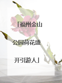 福州金山公园荷花盛开引游人