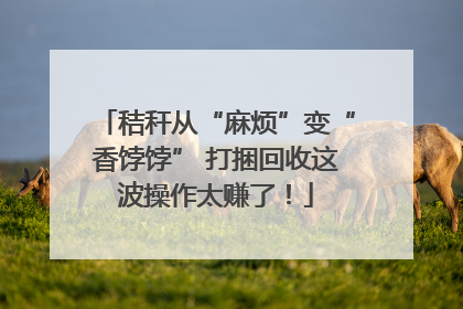 秸秆从“麻烦”变“香饽饽” 打捆回收这波操作太赚了！