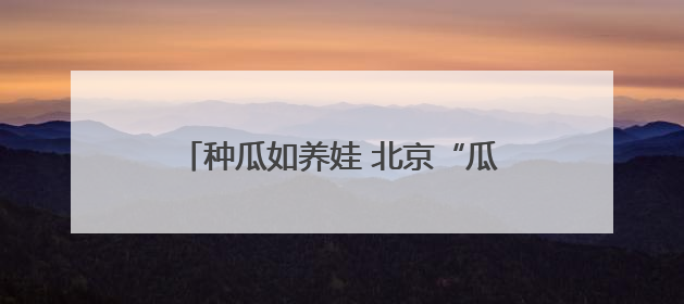 种瓜如养娃 北京“瓜王”藏着“技术密码”