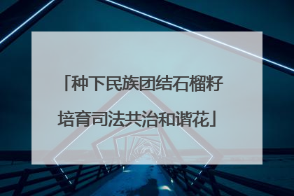 种下民族团结石榴籽 培育司法共治和谐花