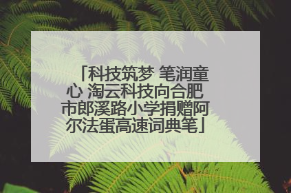 科技筑梦 笔润童心 淘云科技向合肥市郎溪路小学捐赠阿尔法蛋高速词典笔